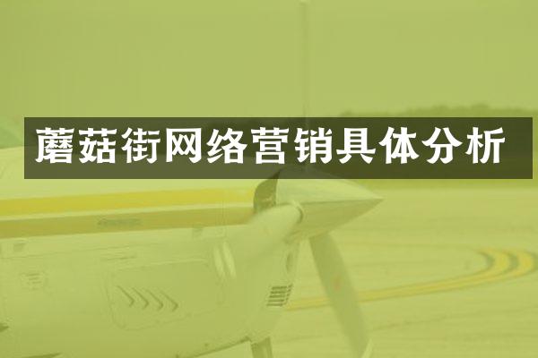 蘑菇街网络营销具体分析