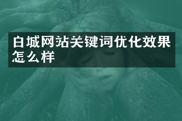 白城网站关键词优化效果怎么样