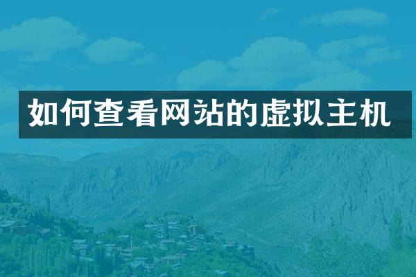 如何查看网站的虚拟主机