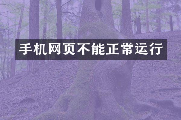 手机网页不能正常运行