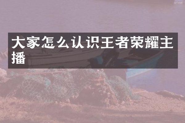 大家怎么认识王者荣耀主播