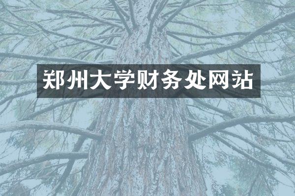 郑州大学财务处网站