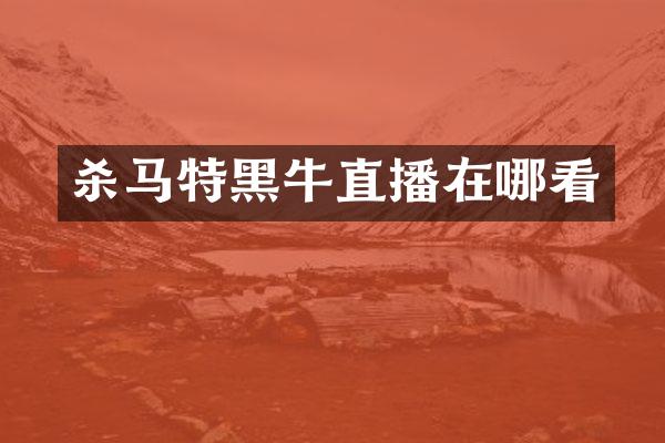 杀马特黑牛直播在哪看