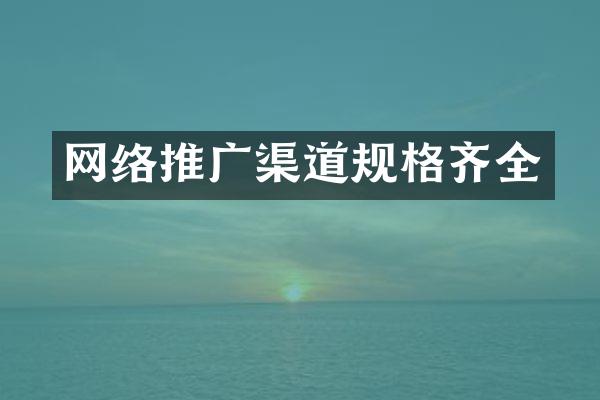 网络推广渠道规格齐全