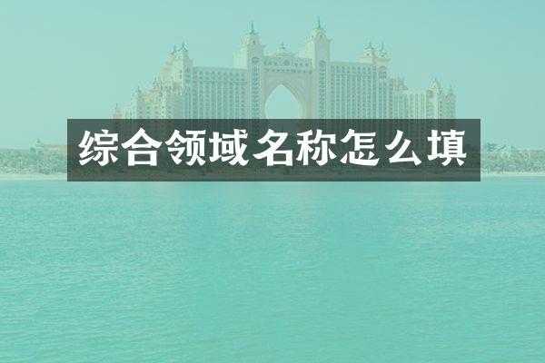 综合领域名称怎么填