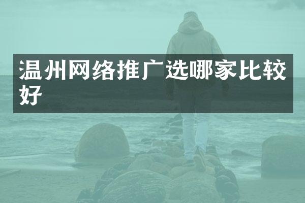 温州网络推广选哪家比较好