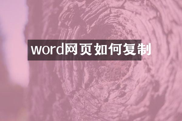 word网页如何复制