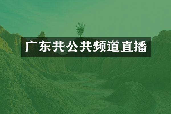 广东共公共频道直播