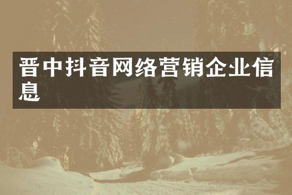 晋中抖音网络营销企业信息