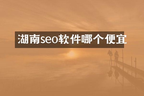 湖南seo软件哪个便宜