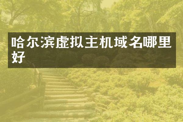 哈尔滨虚拟主机域名哪里好