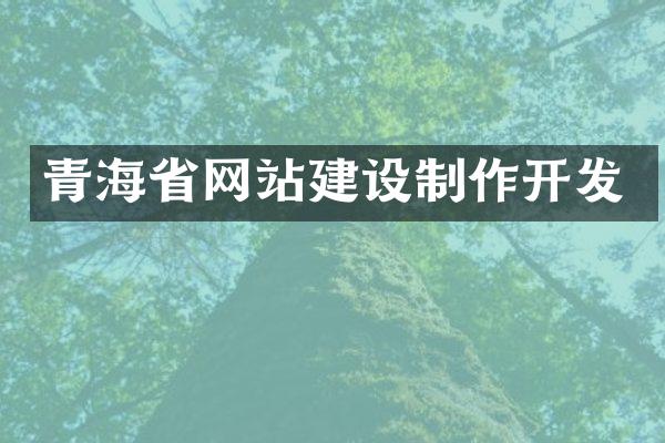 青海省网站建设制作开发