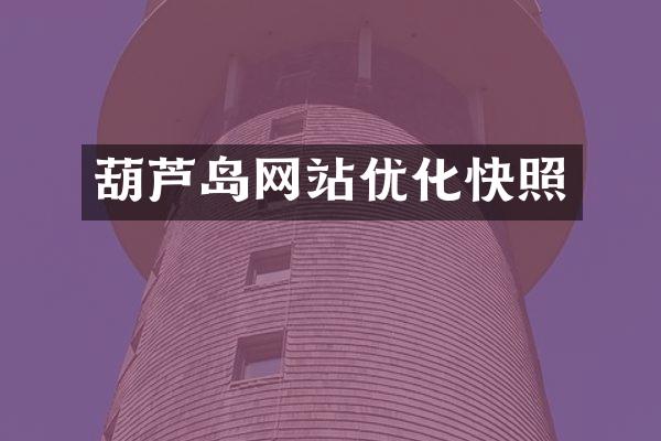 葫芦岛网站优化快照