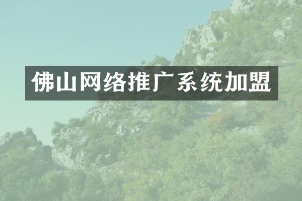 佛山网络推广系统加盟