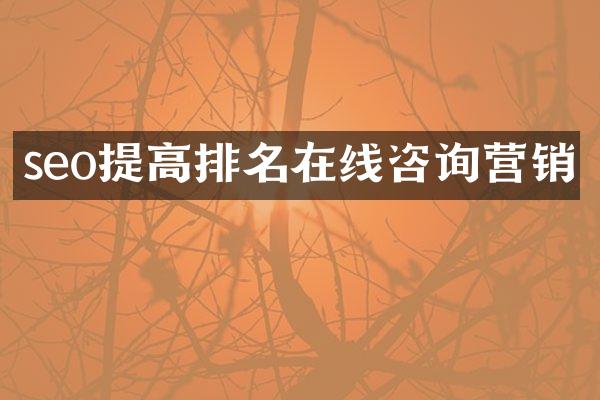 seo提高排名在线咨询营销