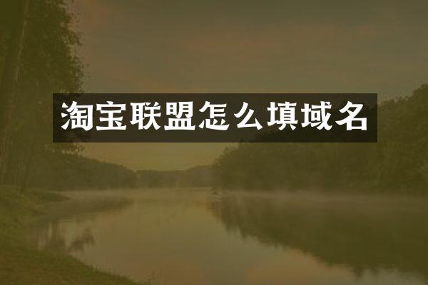 淘宝联盟怎么填域名