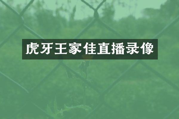 虎牙王家佳直播录像