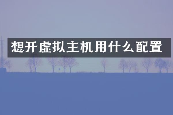 想开虚拟主机用什么配置