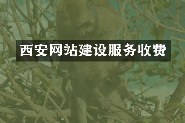 西安网站建设服务收费