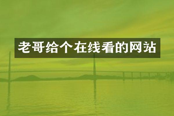 老哥给个在线看的网站