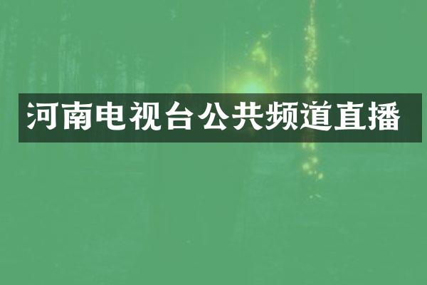 河南电视台公共频道直播