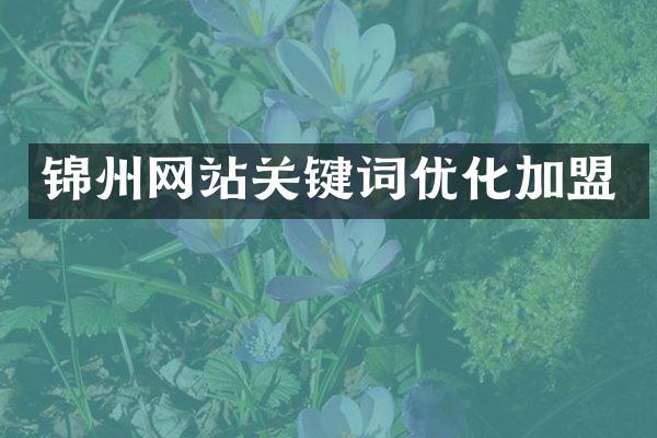 锦州网站关键词优化加盟