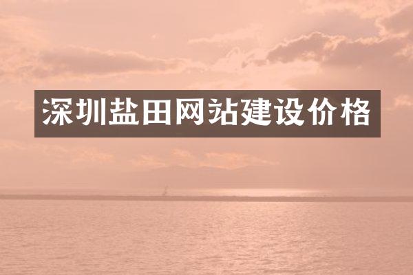 深圳盐田网站建设价格