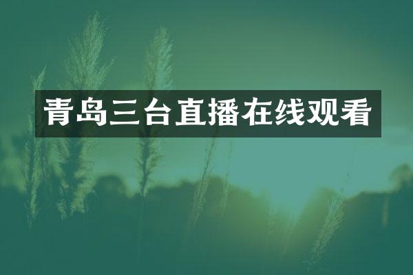 青岛三台直播在线观看