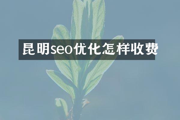 昆明seo优化怎样收费