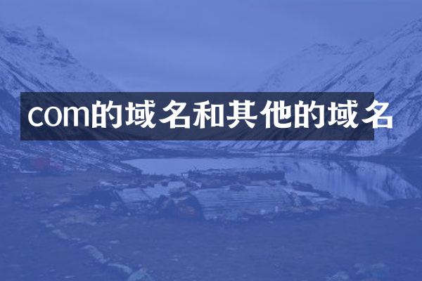 com的域名和其他的域名