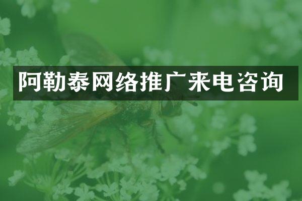 阿勒泰网络推广来电咨询