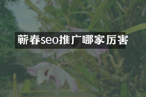 蕲春seo推广哪家厉害