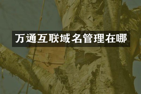 万通互联域名管理在哪