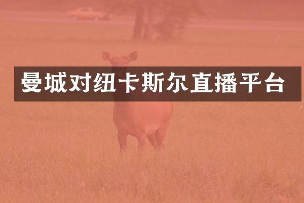 曼城对纽卡斯尔直播平台