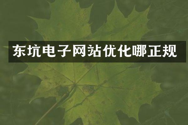 东坑电子网站优化哪正规