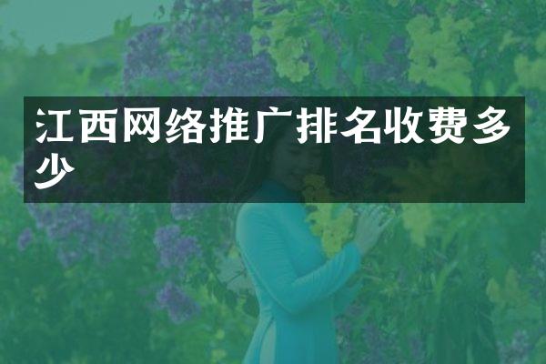 江西网络推广排名收费多少