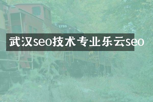 武汉seo技术专业乐云seo