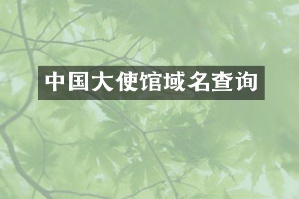 中国大使馆域名查询