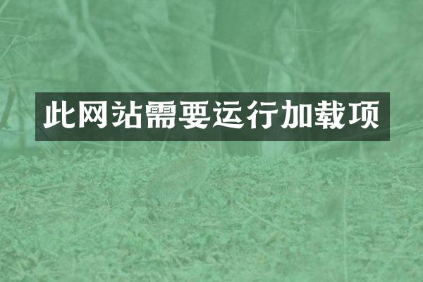 此网站需要运行加载项