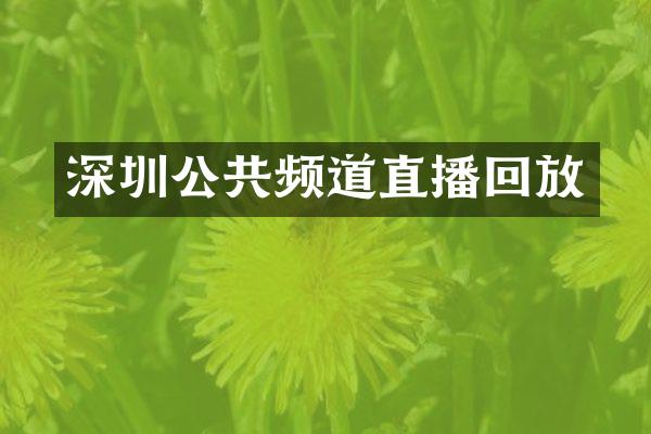 深圳公共频道直播回放