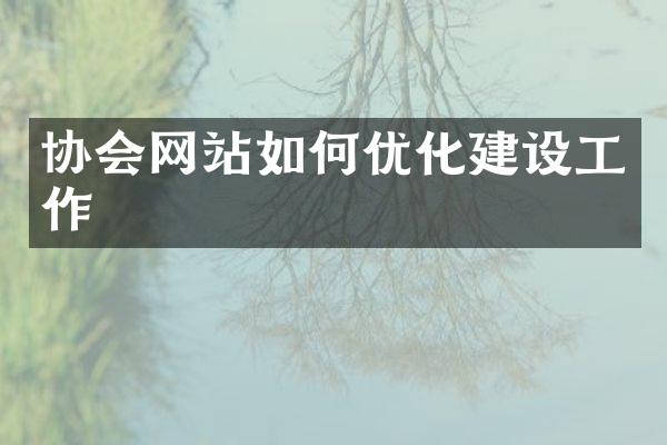 协会网站如何优化建设工作