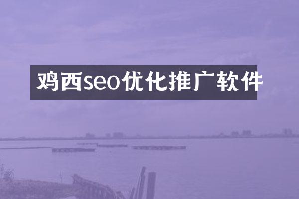 鸡西seo优化推广软件