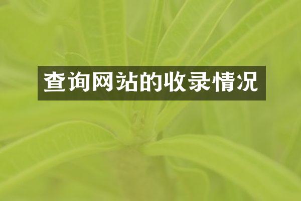 查询网站的收录情况