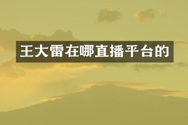 王大雷在哪直播平台的