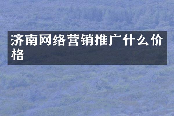 济南网络营销推广什么价格