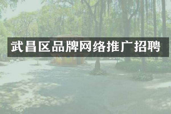 武昌区品牌网络推广招聘
