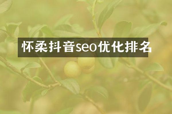 怀柔抖音seo优化排名