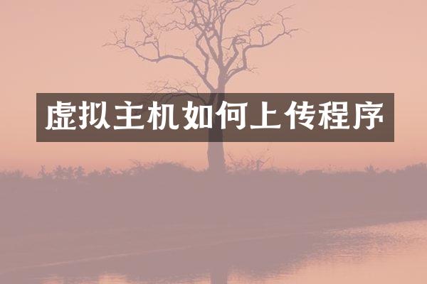 虚拟主机如何上传程序
