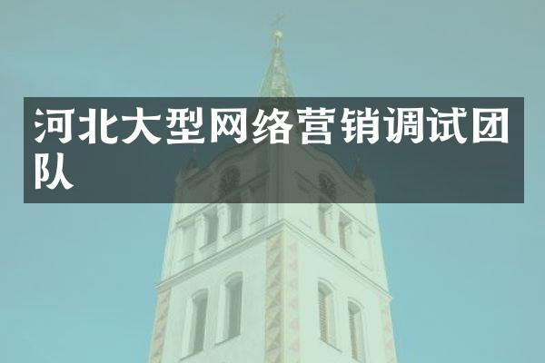 河北大型网络营销调试团队
