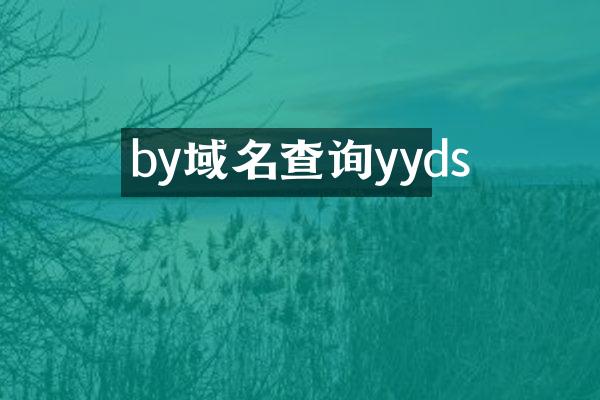by域名查询yyds